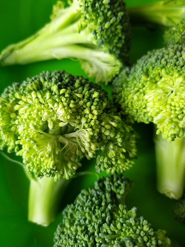 10 Best Food High in Calcium