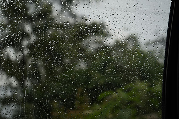 How to keep cheerful when the weather looks grey?